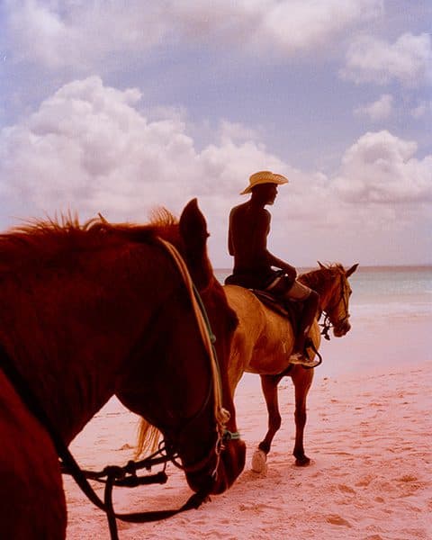horseback riding on the beach