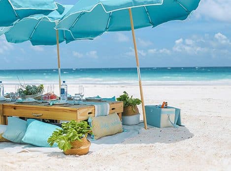 beach picnic by Conch and Coconut