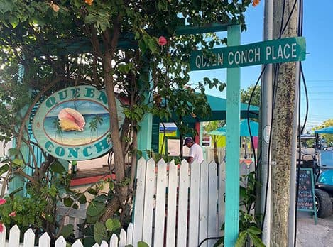 Queen Conch