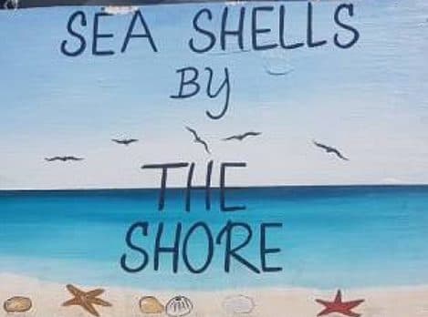 Sea Shells By the Shore