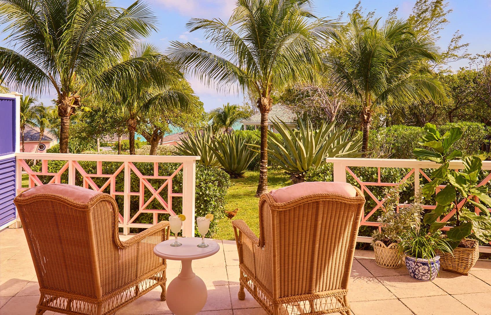 terrace with two lounge chairs and potted plants