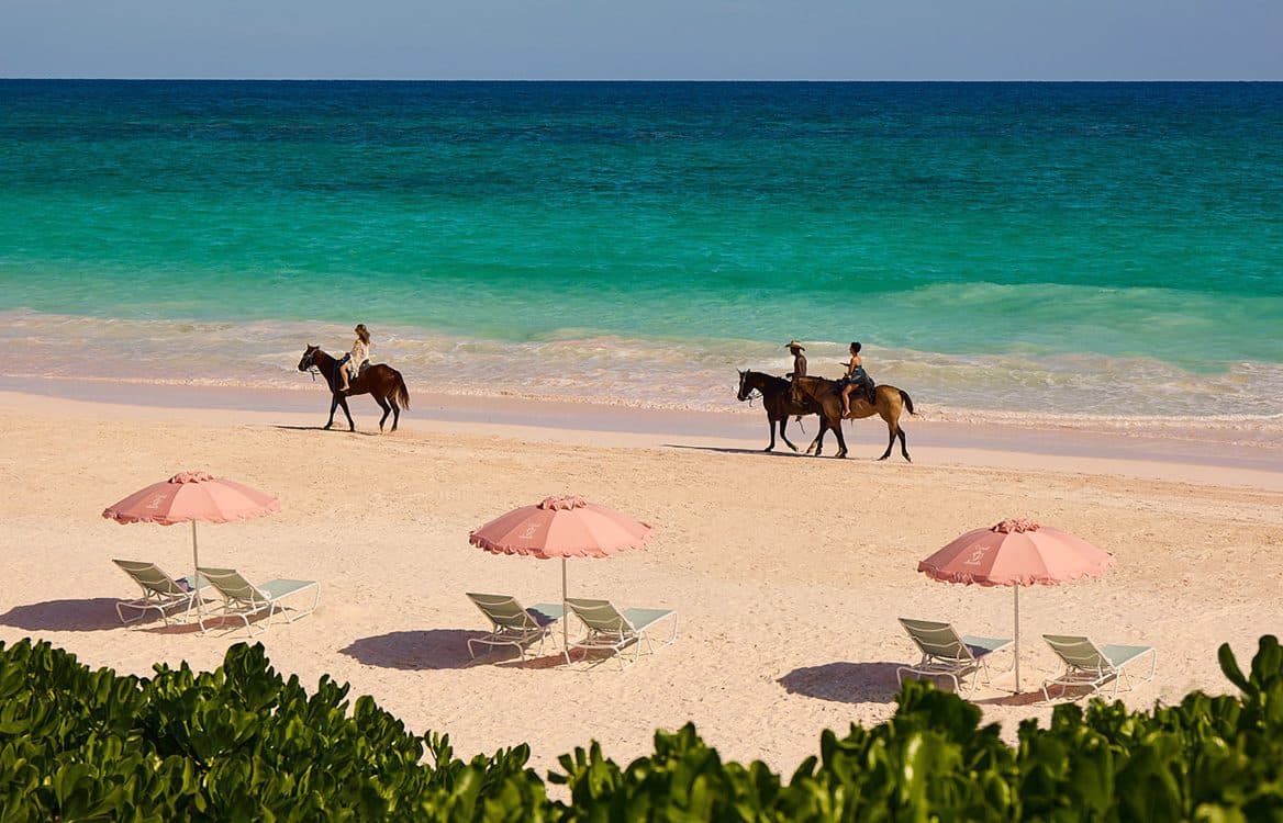 horse riding on the beach
