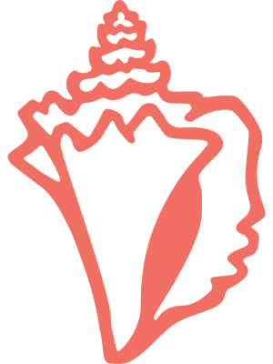 conch shell