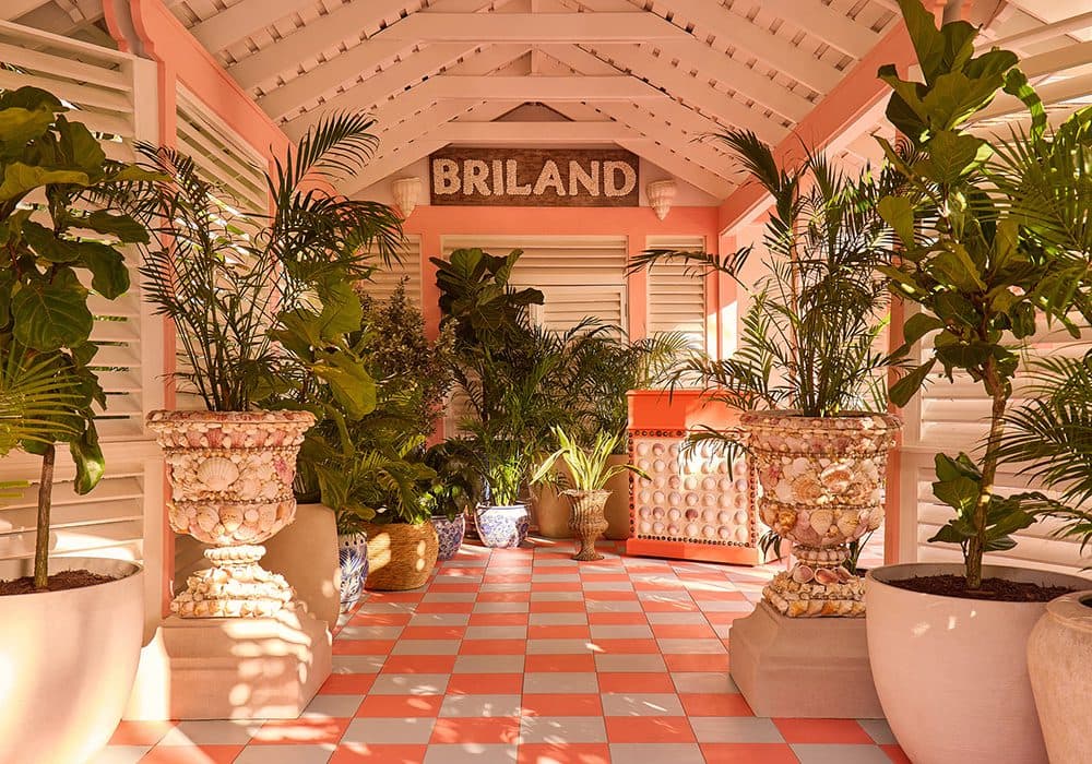 coral sands reception