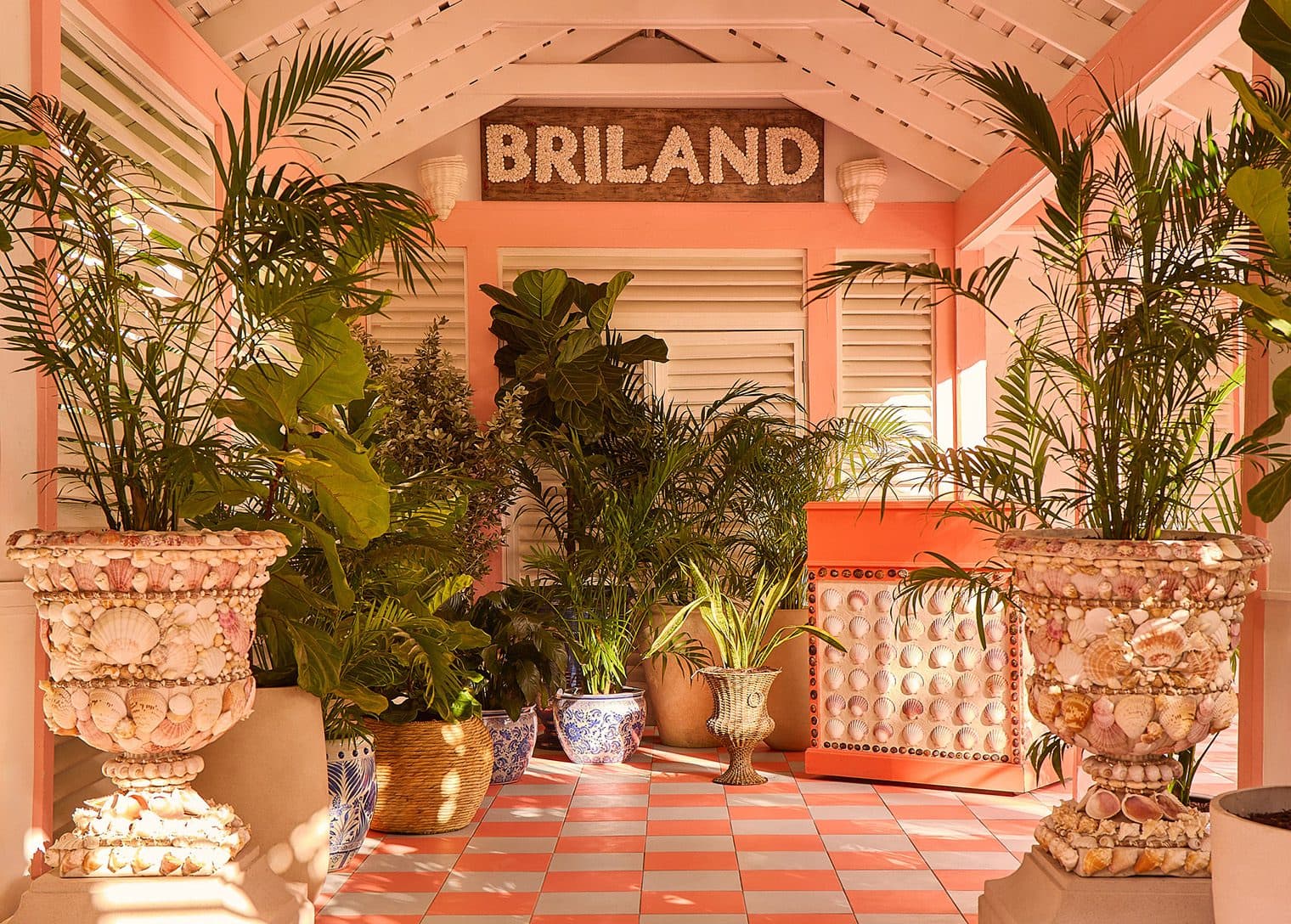 reception area at coral sands