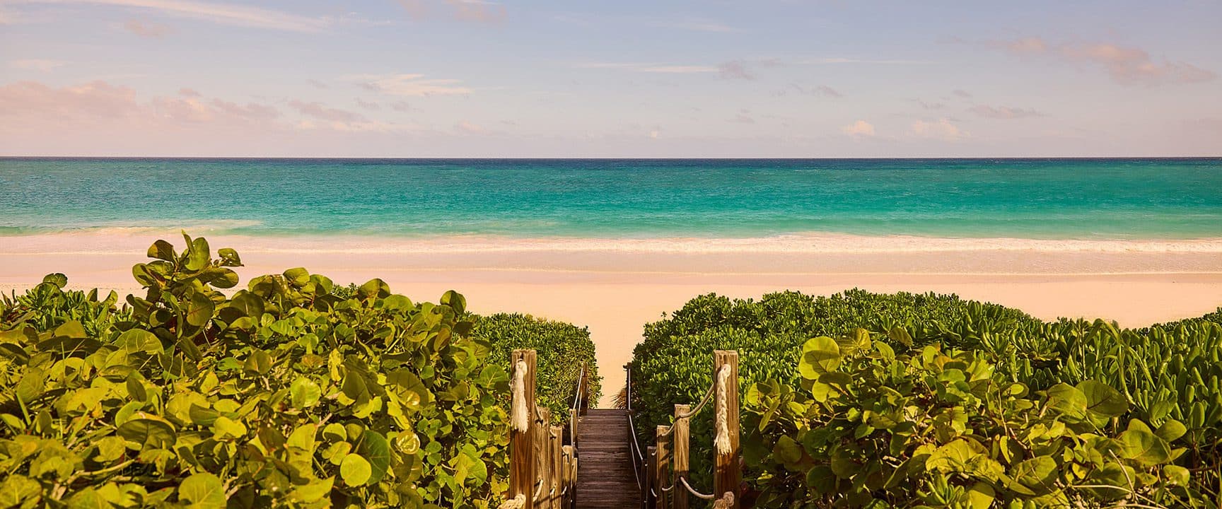 sea grape-lined path to the ocean