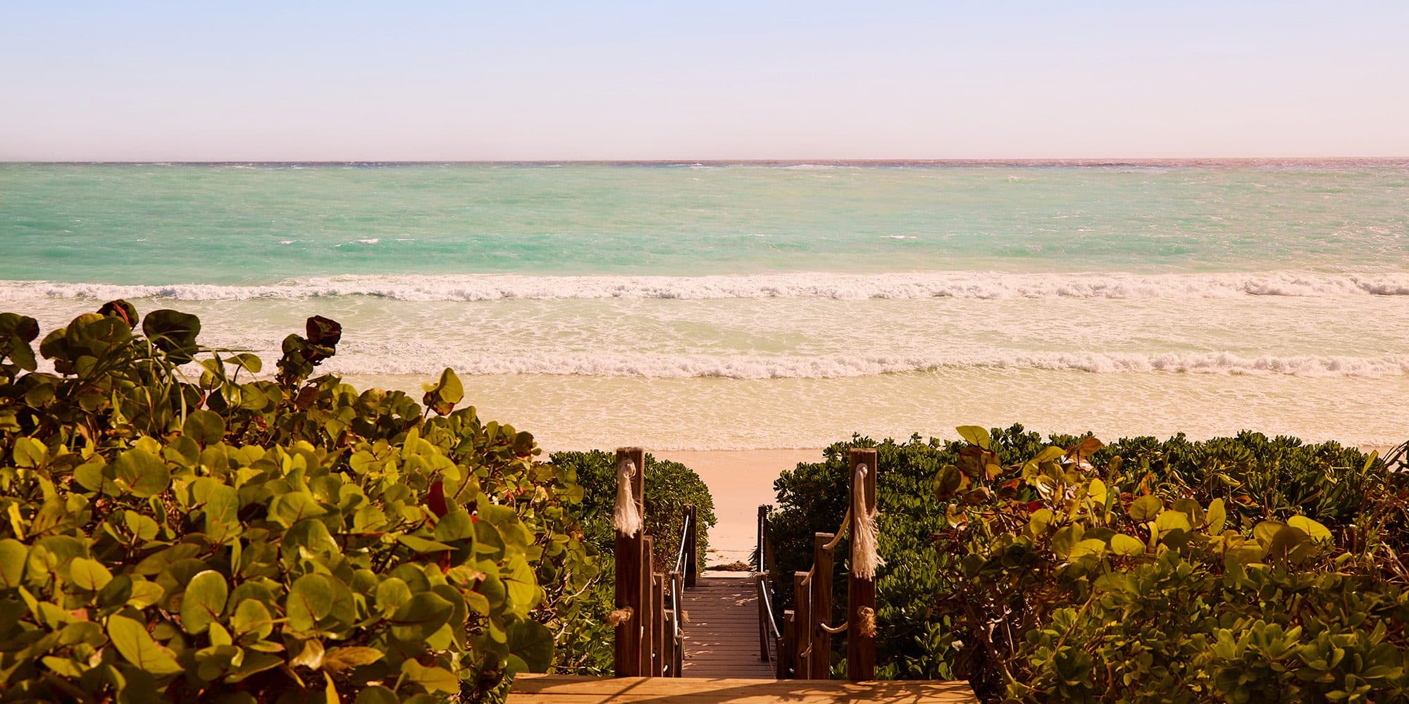 sea grape lined path to beach